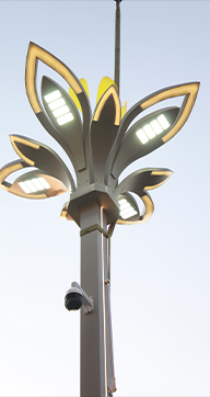Ethiopia Smart Light Pole Customization Project